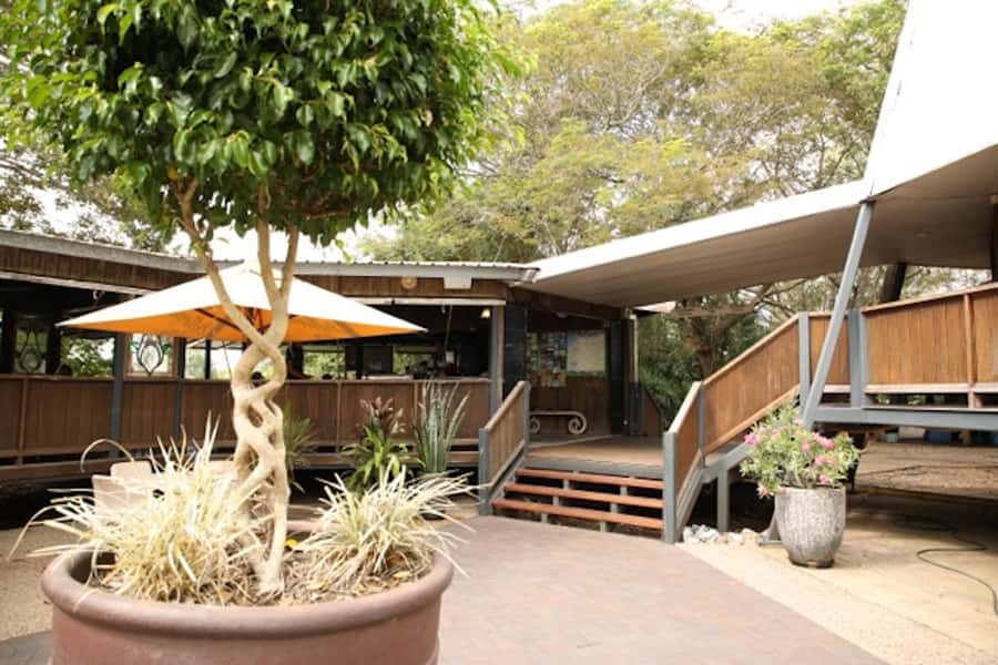 Darwin: Pathfinder Original Jumping Crocodile Cruise - The Itinerary in Detail