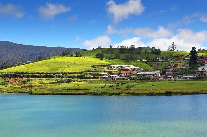 Day Trip to Nuwara Eliya with Kingfisher Tours - Authentic Insights from Reviews