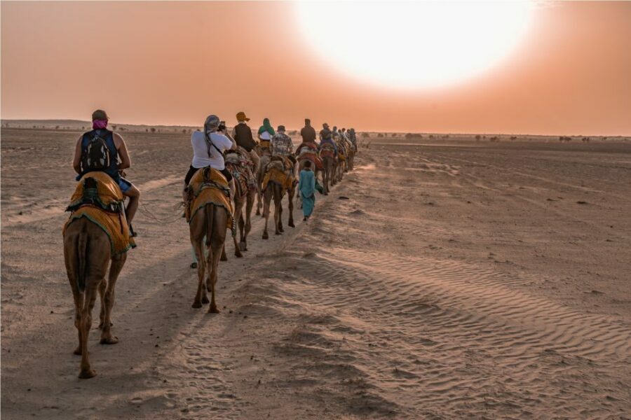 Dazzling Half Day Camel & Desert Safari With Sunset & Dinner - Sunset over the Dunes: A Photogenic Moment