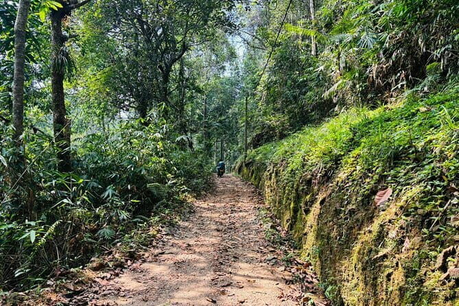 Dediyagala Village Tour(from Galle, Mirissa, Ahangama, Matara) - What Travelers Say