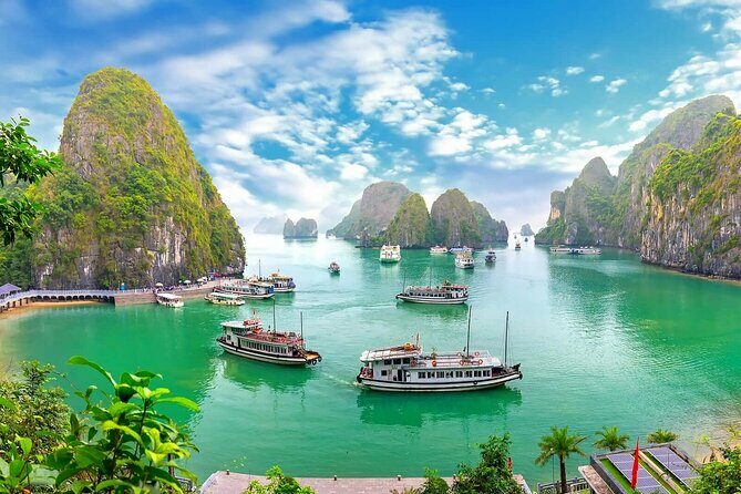 DELUXE Halong Bay Day Tour From Hanoi, Daily Operated 2025 - 2026 - Who Should Consider This Tour?