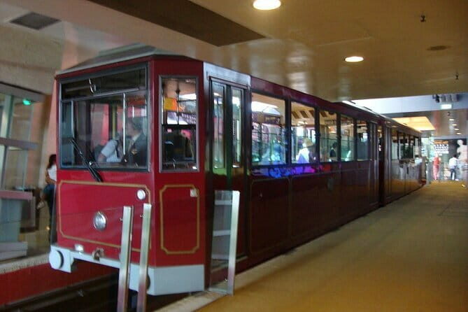 Deluxe Hong Kong City Tour using Mercedes-Benz V-Class Car+ Guide - The Experience: Comfort, Convenience, and Cultural Insights