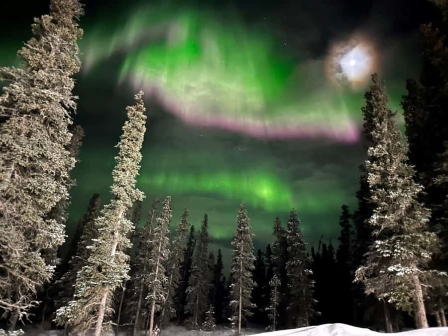 Denali National Park: Full-Day Fairbanks-Denali Adventure - Scenic Drive into Alaska’s Iconic Landscapes
