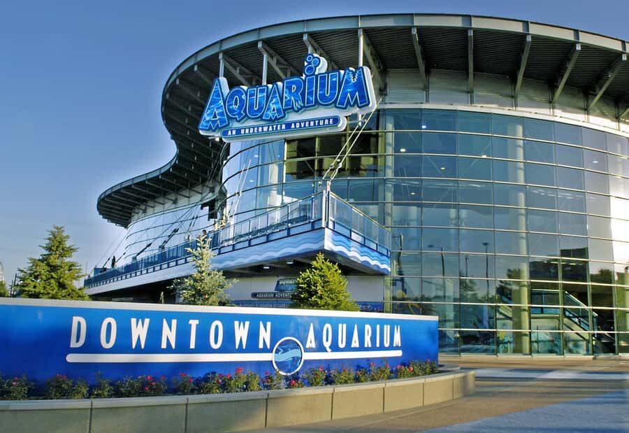Denver: Downtown Aquarium All-Day Pass - Practical Tips for Visiting