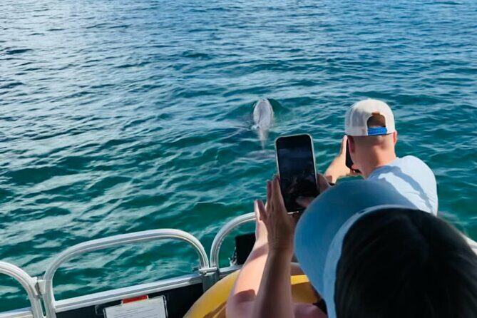 Destin Boat Ride with Cruise Destin Bay - FAQ: Your Questions Answered