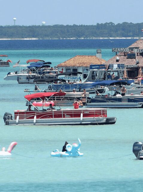 Destin: Crab Island Catamaran Tour with Dolphin Watching - In The Sum Up