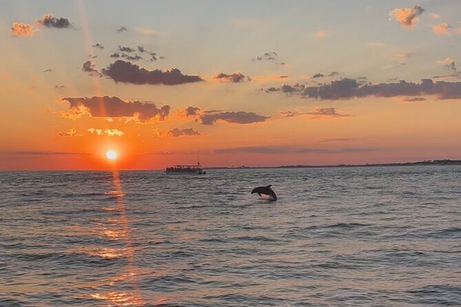 Destin Private Boat Tours Dolphin Crab Island Snorkel Sunset - Who Should Consider This Tour?