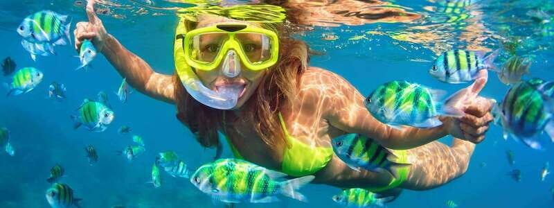 Destin: Snorkeling Cruise with 2 Stops and Dolphin Watching - Who Will Enjoy This Tour?