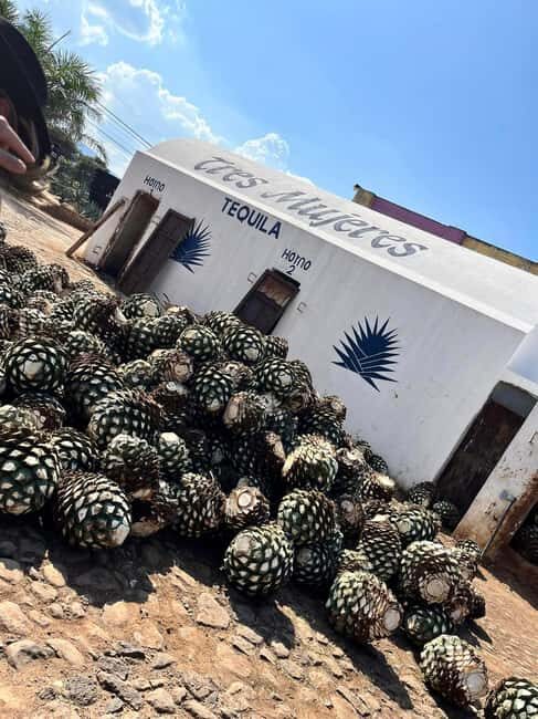 Destino Tequila: Experiencia Premier Privada - A Closer Look at the Itinerary