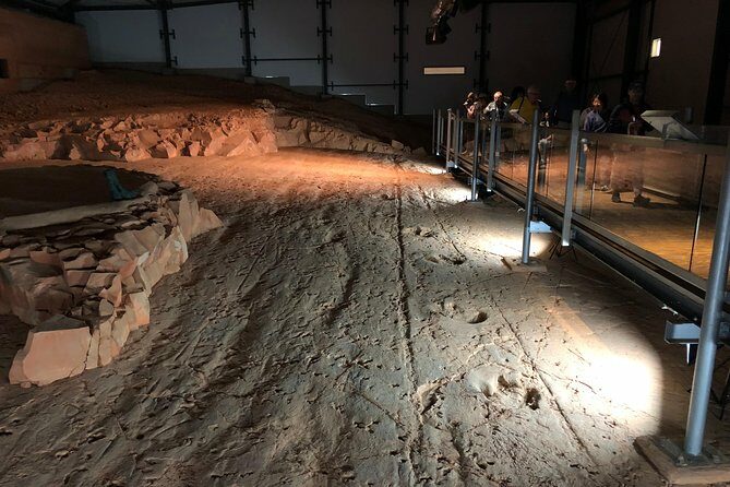 Dinosaur Stampede 3/4 Day Tour from Winton - Who Should Consider This Tour?