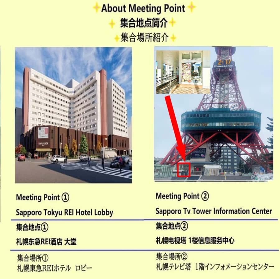 Discover Sapporo: Iconic Buddha,Beer Museum & Jozankei Town - The Practicalities: Transportation, Timing, and Group Size