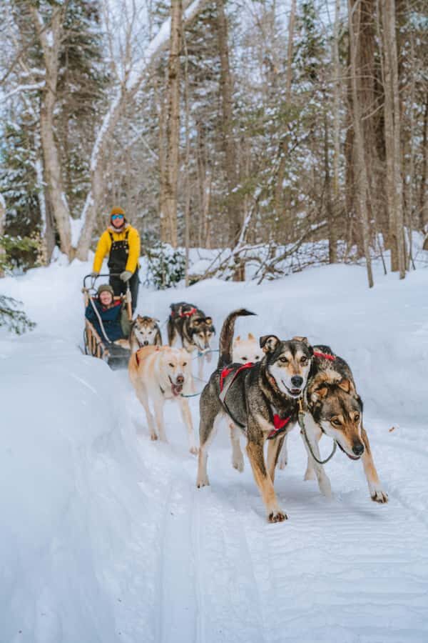 Dogsledding Upper Laurentians near Mont-Tremblant - The Itinerary: Breaking Down the Day