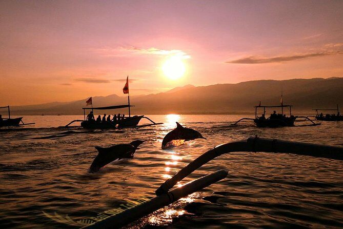 Dolphin Tour and Sunrise Watching in Lovina Beach - All Inclusive - Key Points