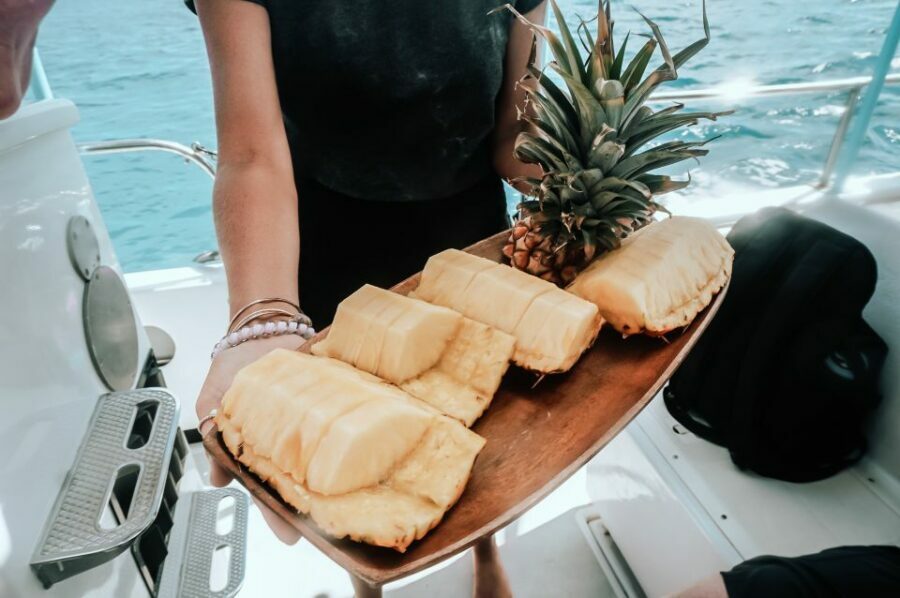 Dolphin Watch Snorkel and BBQ in Kona, Big Island - The Balance of Experience and Authenticity