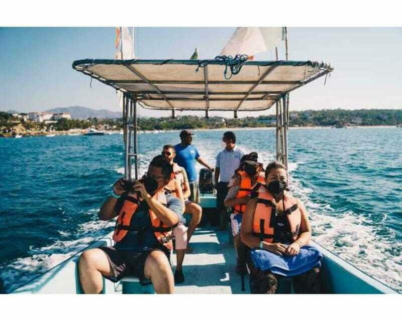 Dolphins and whales watching in Puerto Escondido. - Detailed Breakdown of the Itinerary