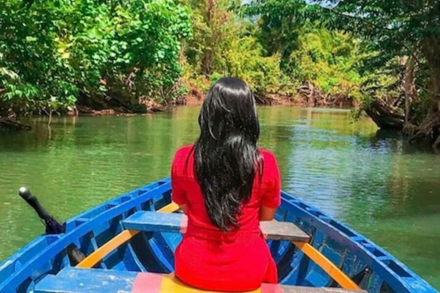 Dominica: Indian River Discovery & Beach Stop Tour - Transport, Price, and Group Size