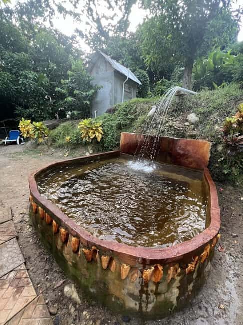 Dominica: Scotts Head Kayak and Soufriere Thermal Springs - Who Would Love This Tour?