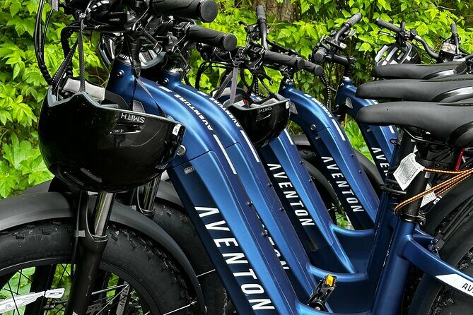 Downtown Sitka E-Bike Rentals - Who Should Consider This Tour?