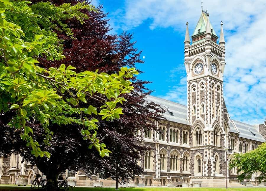 Dunedin City & Coastal Views 3-Hour Small-Group Tour - The Experience and Group Dynamics