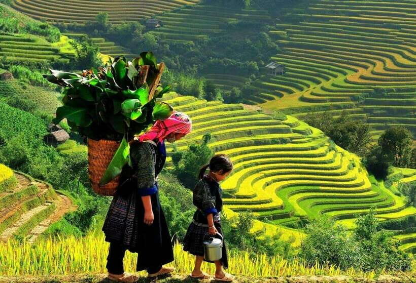 Easy Trek in Sapa mountain : Y Linh Ho - Lao Chai - Ta Van - What Makes This Tour Stand Out