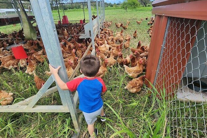 Eco Friendly Farming Tour to Explore Dorado's Most Beautiful Farm - The Sum Up