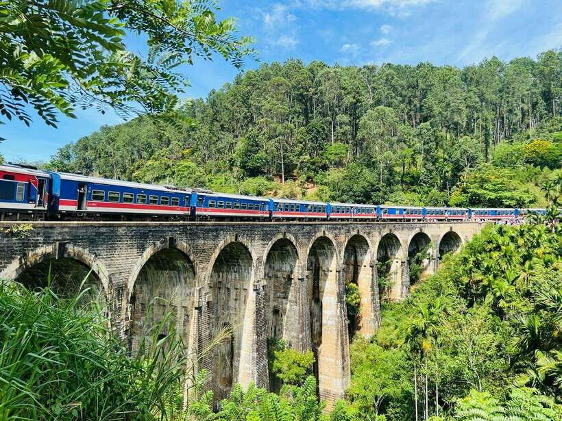 Ella Day Tour from Kandy with tea factory - What to Expect on the Day