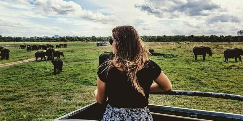 Ella: Shuttle to Tangalle/Mirissa/Galle & Udawalawa Safari - Final Thoughts