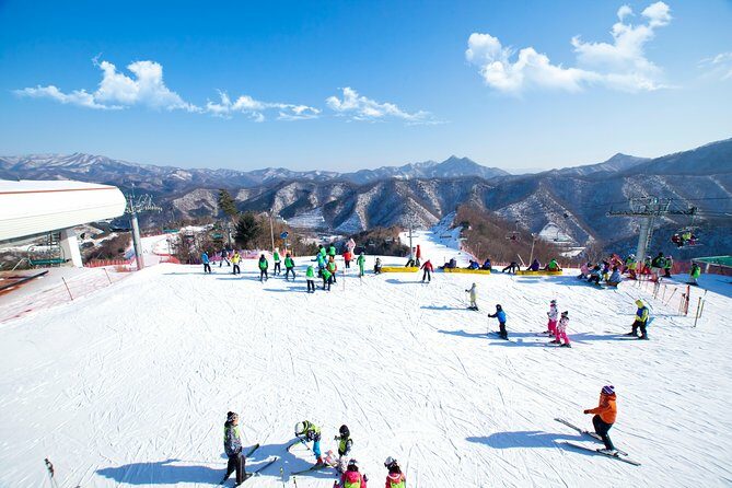Elysian Gangchon Winter Ski + Eobi Ice Valley Day Tour fr Seoul - What the Reviews Say