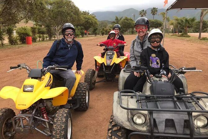Enesenda Shore Excursion ATV Adventure with Tacos & wine tasting - The Itinerary in Detail