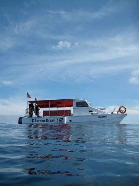 Enjoy 3 Fun Dives in Kota Kinabalu | Certified Divers - Why This Tour Offers Great Value
