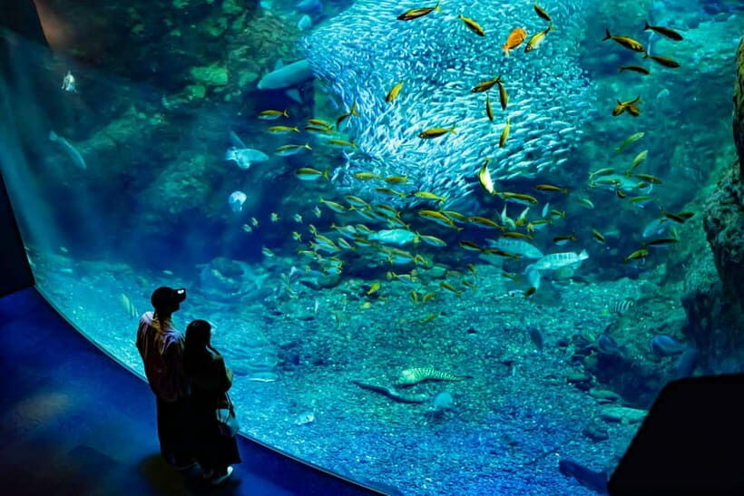 Enoshima Aquarium: Admission Ticket - Highlight: The Sagami Bay & Deep Sea Exhibits