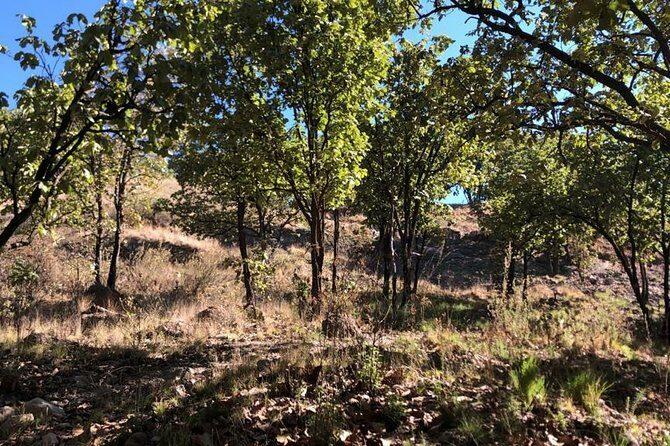 Epic MTB ride at Guadalajara forest. - What To Expect on the Trail