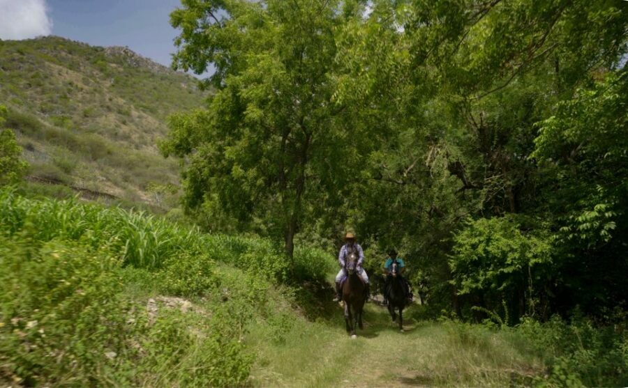 Equestrian Escape: Horse Safari Adventure - The Ranch and Its Setting