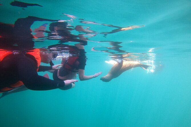 Espiritu Santo Island and sea lions - Considerations & Potential Drawbacks