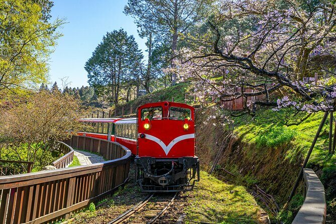 Exclusive 3-Day Sun Moon Lake & Alishan Private Tour - What Sets This Tour Apart