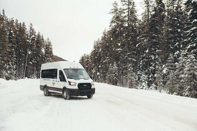Explore Banff + Wildlife - Wildlife Watching and Interpretation