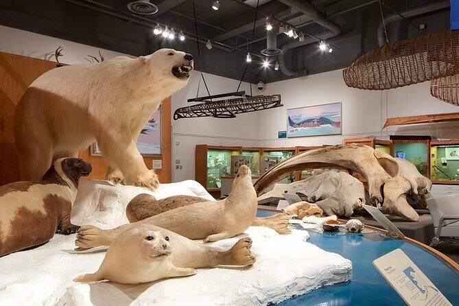 Fairbanks Top City Highlights Tour Summer/Fall - University of Alaska Museum of the North: Wildlife, Art, and Arctic Wonders