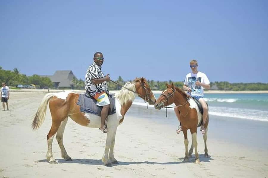 Fiji: Beach Horseback Riding Tour with Lunch and Transfer - Transportation & Logistics