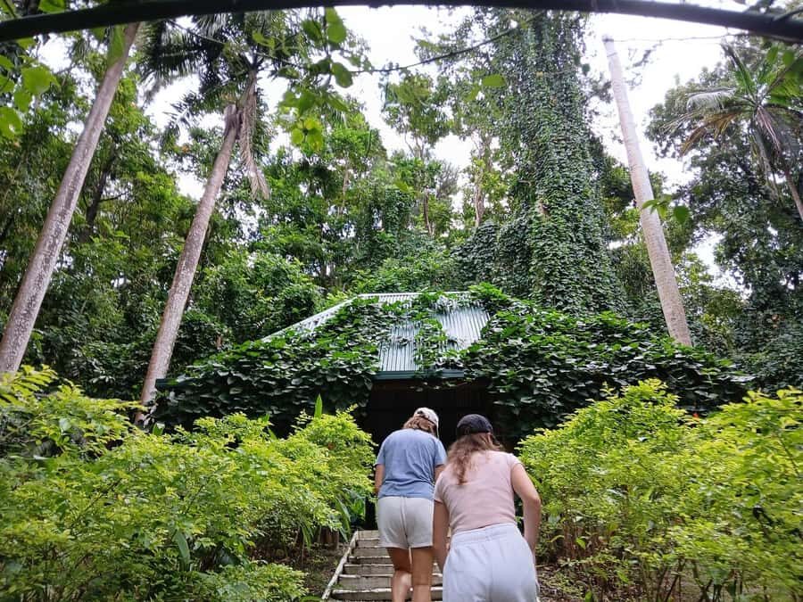 FIJI: Garden of the Sleeping Giant Tour - What You’ll Experience: A Breakdown of the Tour