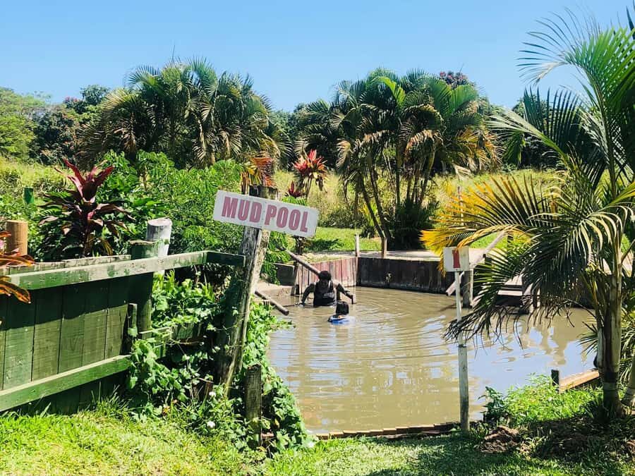 FIJI: Sabeto Hotspring & Mudpool Tours, Tickets & Transfers - Practical Details and What to Expect