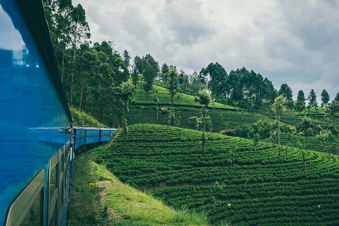 First Class Scenic Train Ticket From Kandy To Ella - Practical Details & Booking Tips