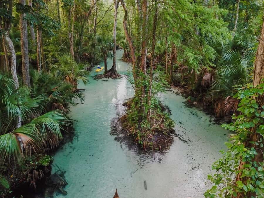 Florida: Emerald Cut Kayak Adventure - What to Expect on the Tour