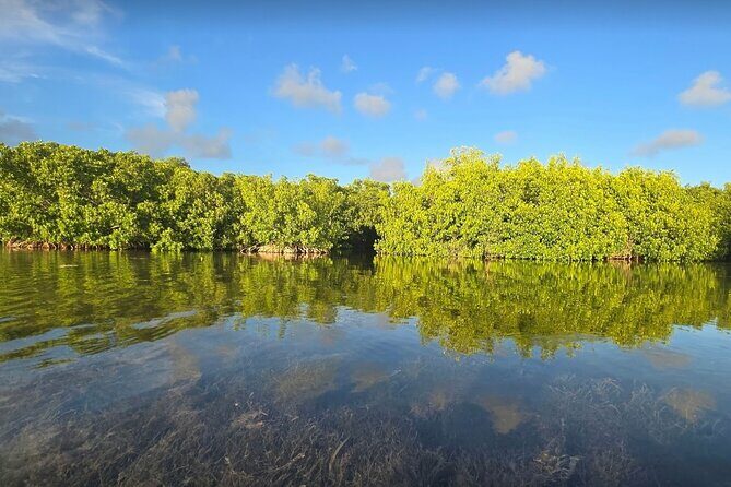 Florida Keys Kayak And Paddleboard Rentals - Final Thoughts: Who Will Love This?