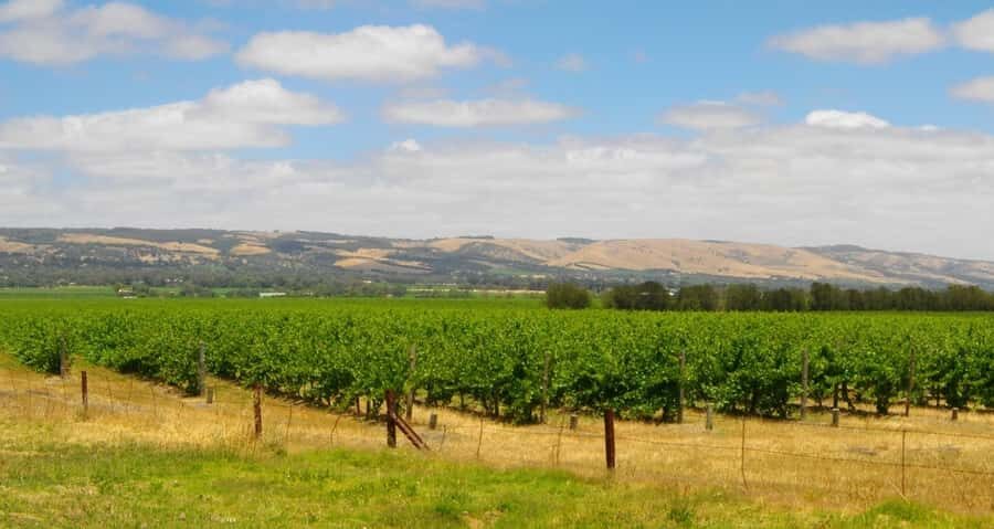 From Adelaide: McLaren Vale Winery Tour with Hahndorf Stop - The Value of This Tour
