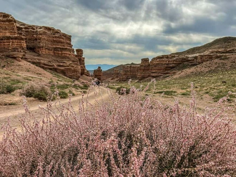 From Almaty: Charyn Canyon Full-Day Trip with Boxed Lunch - What Makes This Tour Stand Out
