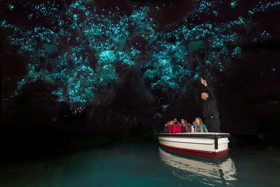 From Auckland: Waitomo Glow Worm Caves & Rotorua Tour - The Balance of Time and Experience