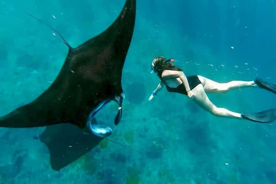 From Bali: Nusa Penida 3 Spots Snorkeling Tour & West Island - What Sets This Tour Apart
