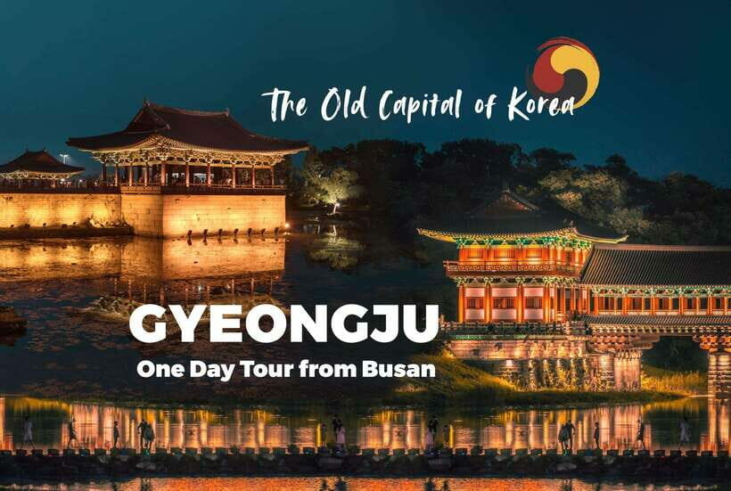 From Busan: Gyeongju Full-Day Historical Tour - What Makes This Tour Stand Out?