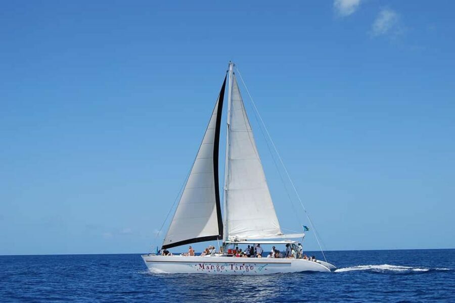 From Castries: Full-Day Catamaran Tour to Soufriere - Who Will Enjoy This Tour?