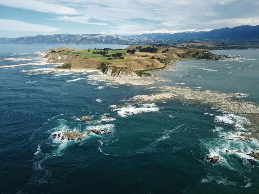 From Christchurch: Kaikura Day Tour With Dolphin Encounter - What Makes This Tour Stand Out?